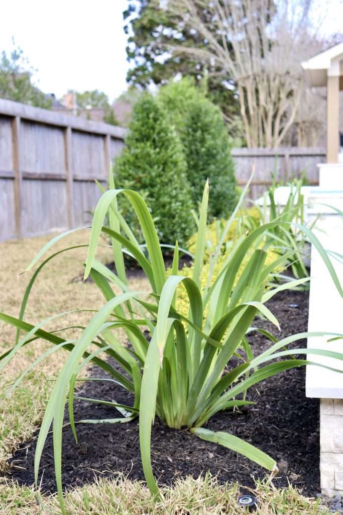 drip irrigation system Spring, TX