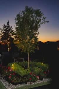 landscape designers near me Tomball, TX
