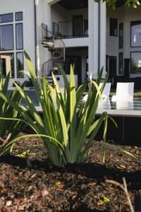 low maintenance front yard landscaping Tomball, TX