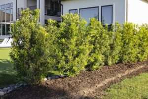 drip irrigation system Tomball, TX